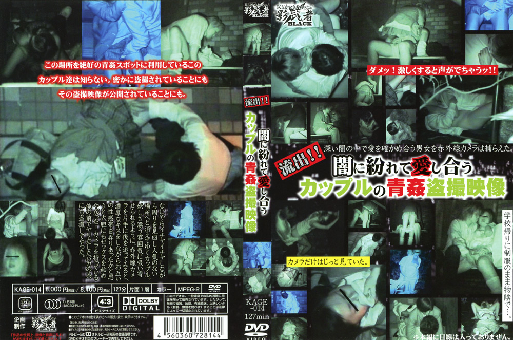 【gurentai-0123】流出！！闇に紛れて愛し合うカップルの青○○撮映像のパッケージ画像