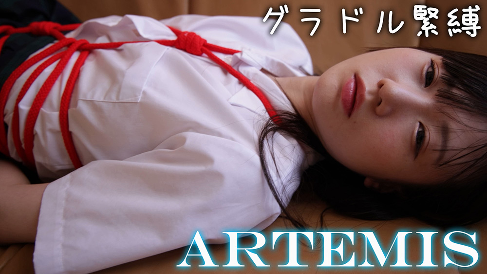 【artemis-0027】囚われてしまったグラビアアイドル 3のパッケージ画像