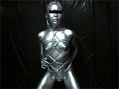 【cocoa-0232】SILVER PAINTING011のパッケージ画像