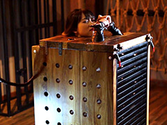 【fss-0075】お仕置き箱に閉じ込められたBDSMドールのパッケージ画像